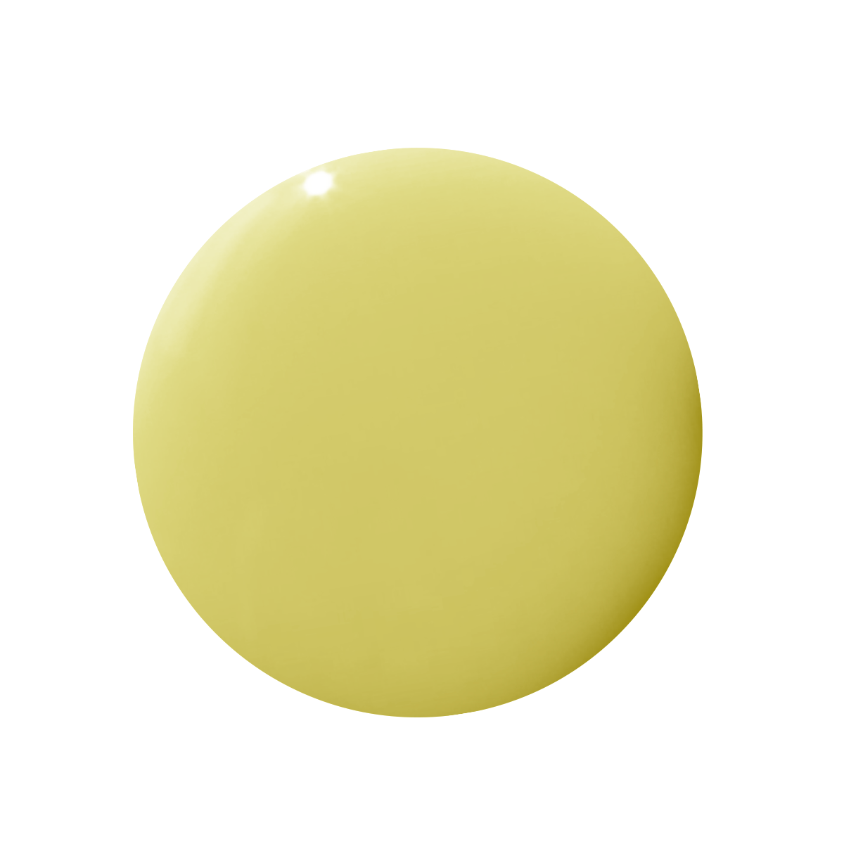 Not Kale、mySite、solidvoid