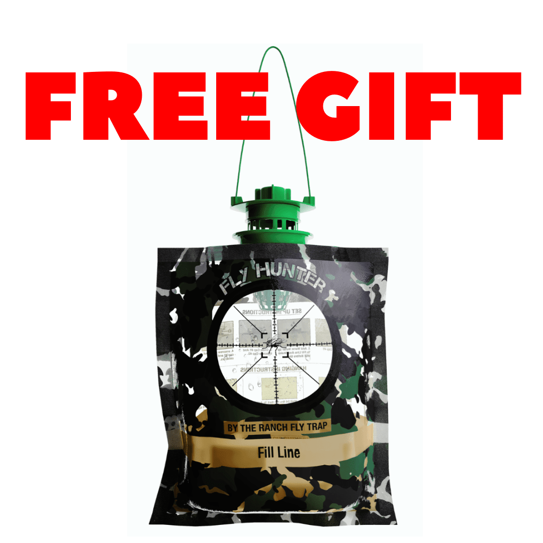 Fly Hunter (Free Gift)、mySite、lovesweatpilates