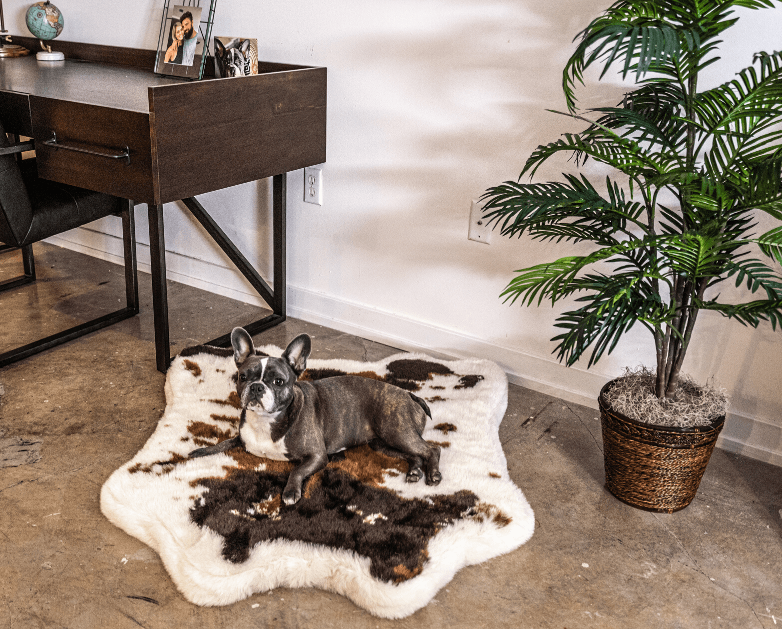 PupRug™ Animal Print Memory Foam Dog Bed - Brown Faux Cowhide、mySite、solidvoid