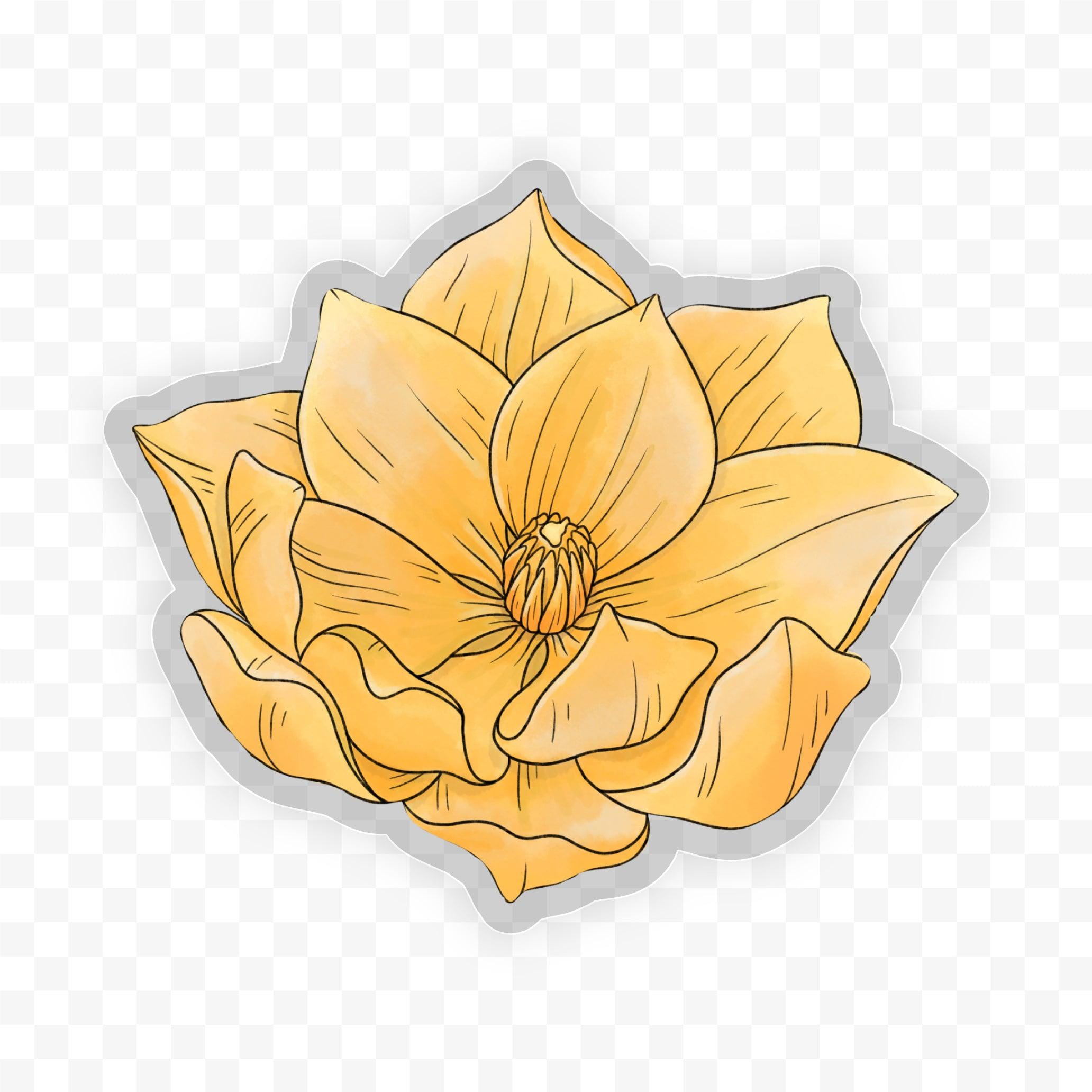  Ranunculus - Botanical Clear Sticker、mySite、elrpsem3k