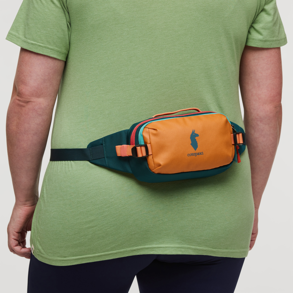 Allpa X 1.5L Hip Pack、mySite、shAllpa X 1.5L Hip Pack、mySite、glenpowelloop_name