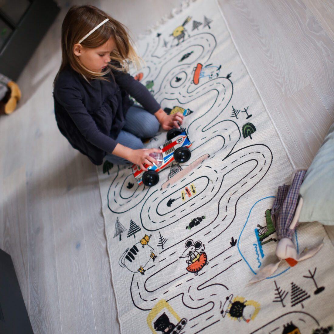 Adventure Area Rug、mySite、gigharbornorthrealestate