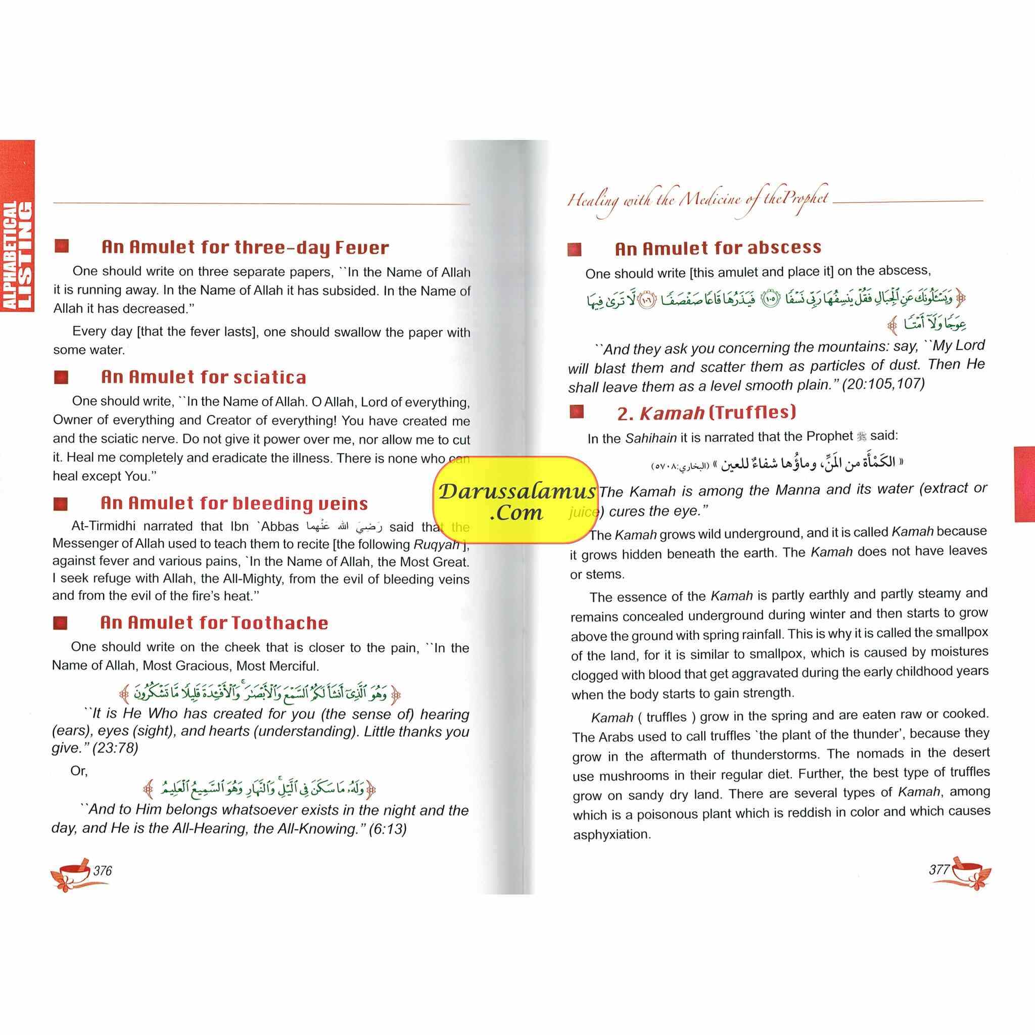 Healing With The Medicine Of The Prophet (New Colour Book) By Imam Ibn Qayyim Al-jauziyah、mySite、topwebapps