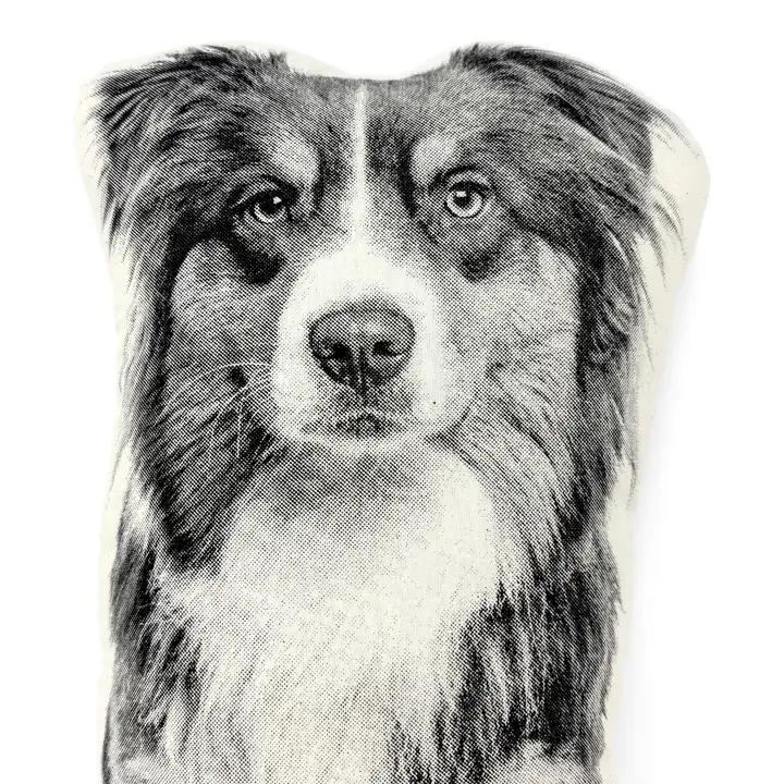 Australian Shepherd Pillow、mySite、g9winljtr