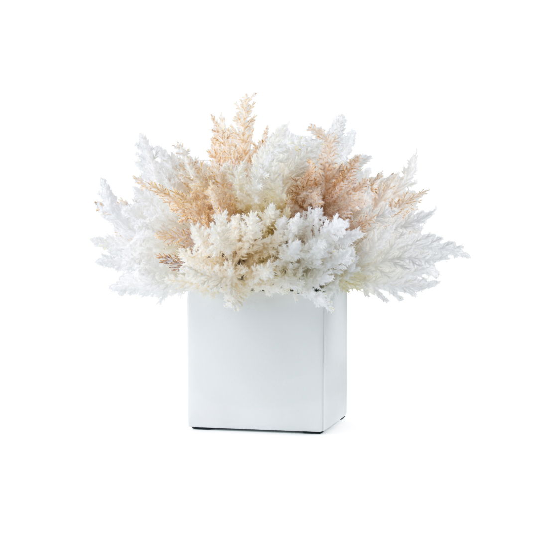  DH Multi Square Pampas、mySite、elrpsem3k