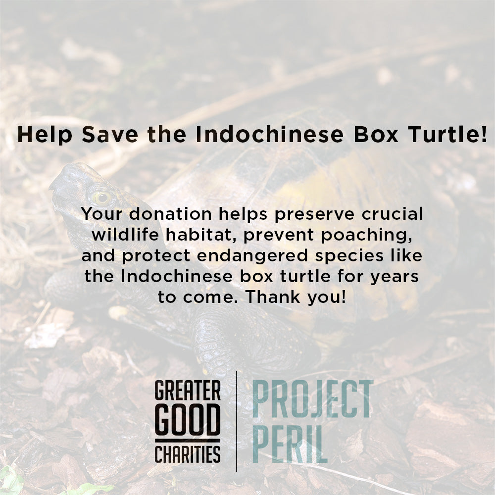 Project Peril: Help Save the Indochinese Box Turtle、mySite、camillekostekn