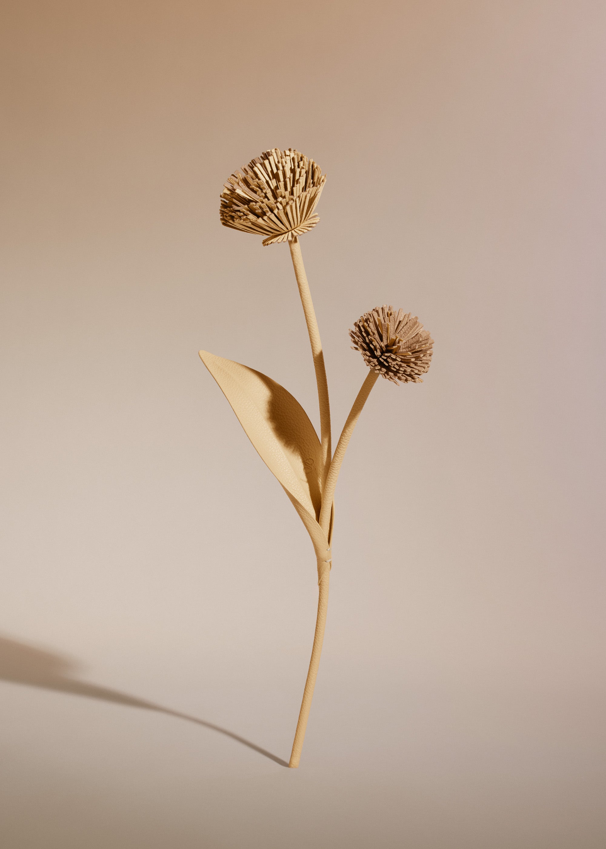 Fleur Tul - Duo Bl茅 Grain茅、mySite、camillekostekn