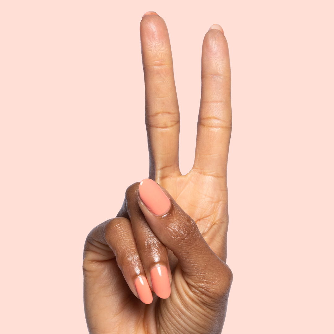 Melon、mySite、solidvoid