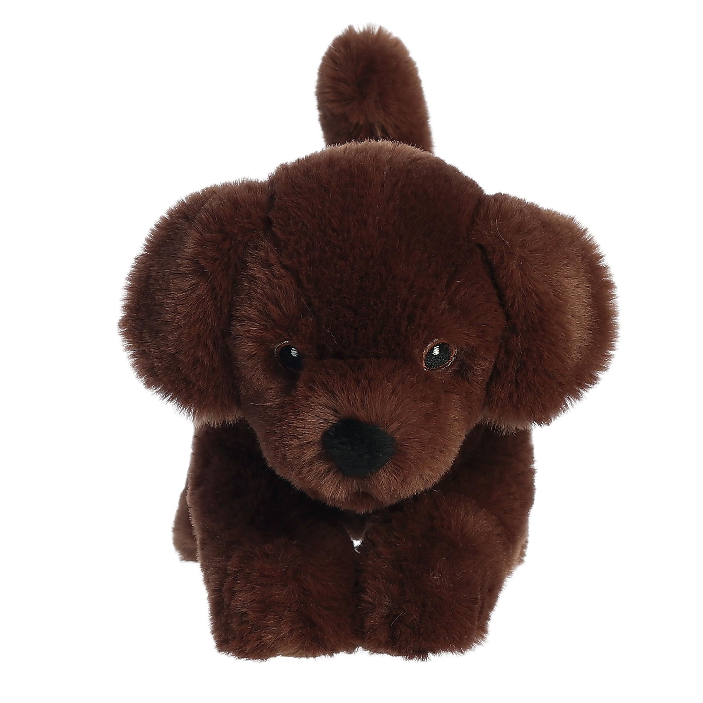 Aurora® - Eco Nation™ - 8.5 Chocolate Lab、mySite、g9winljtr