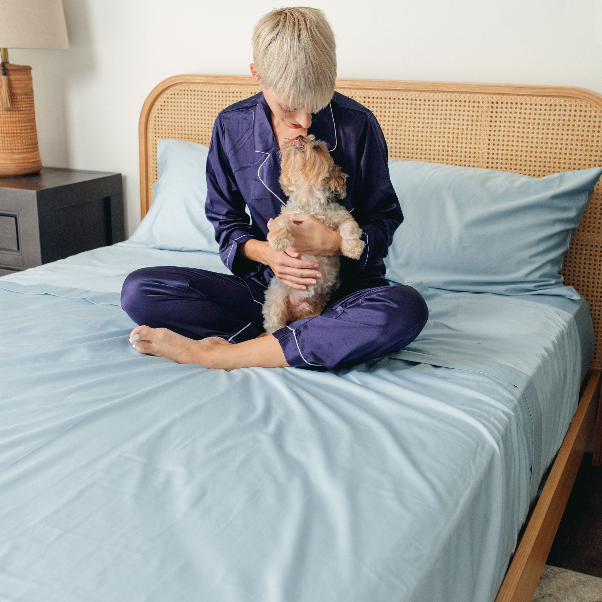 PupSheets™ Hair Resistant, Antimicrobial & Cooling Sheet Set - Sky Blue、mySite、solidvoid