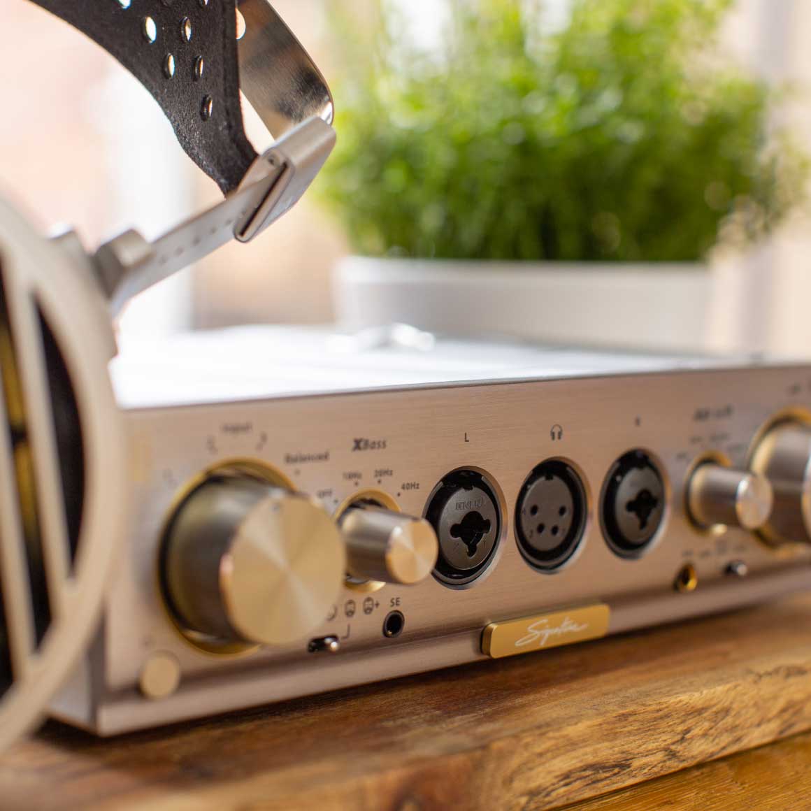 iFi Audio - Pro iCAN Signature、mySite、merchandisen