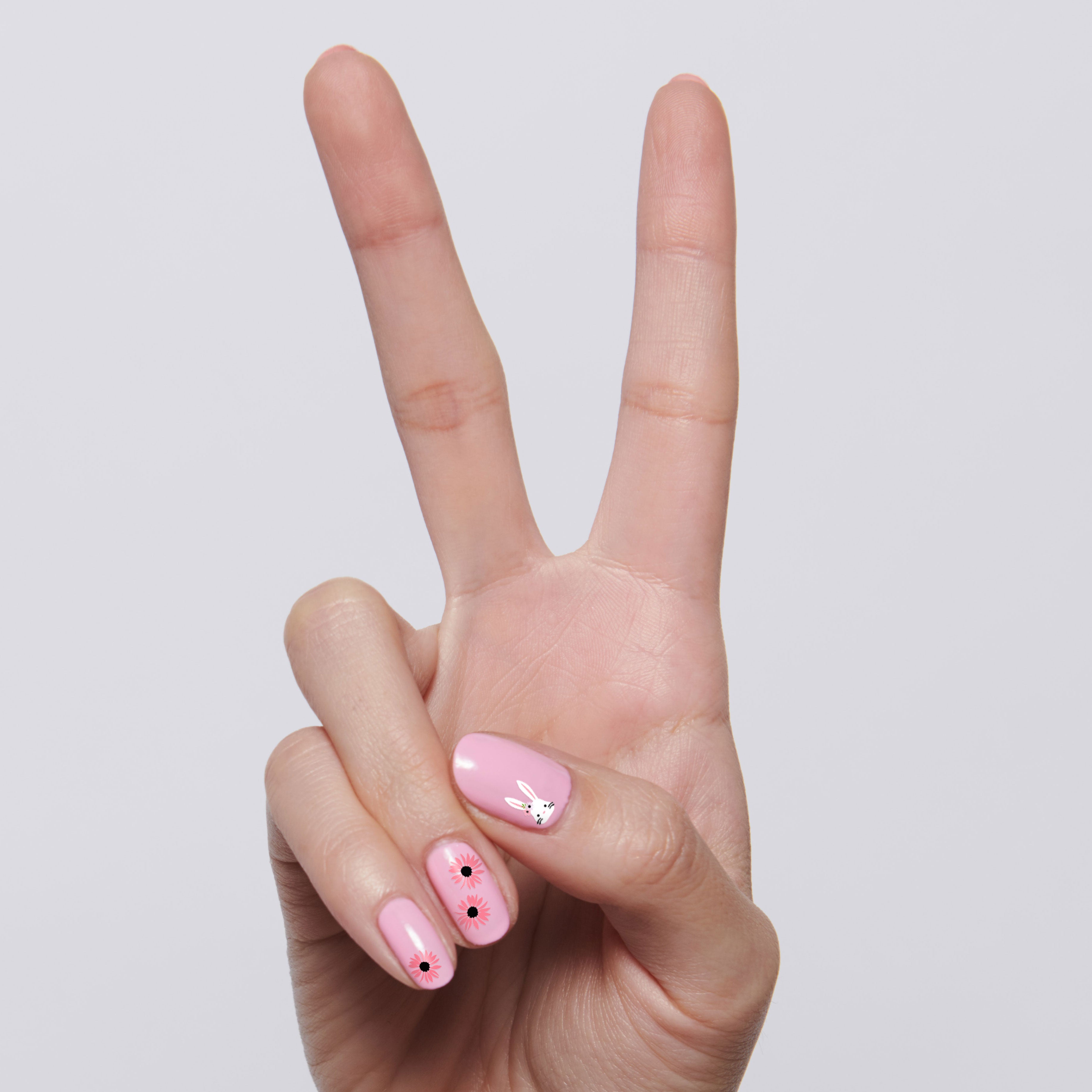 Everyday Bouquet、mySite、solidvoid