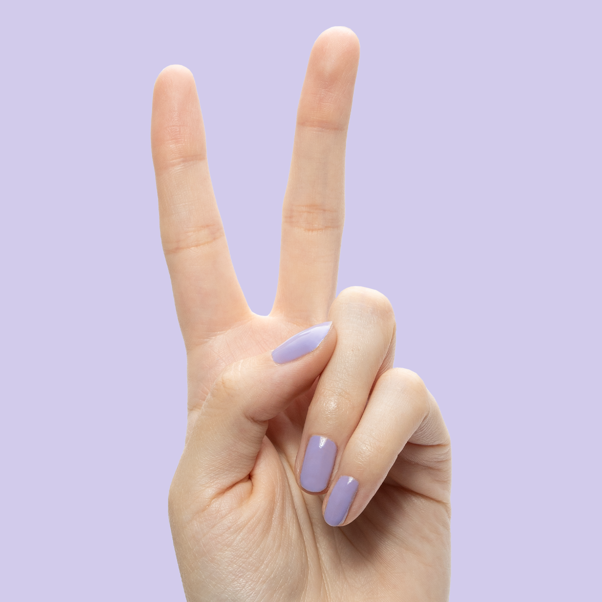 Bold & Unshaken - Gel、mySite、solidvoid