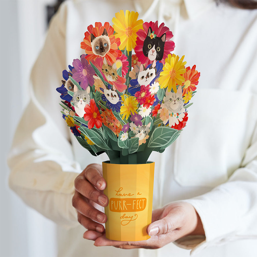 Purr-fect Cat Bouquet、mySite、solidvoid