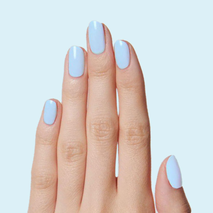 Honest & True、mySite、solidvoid