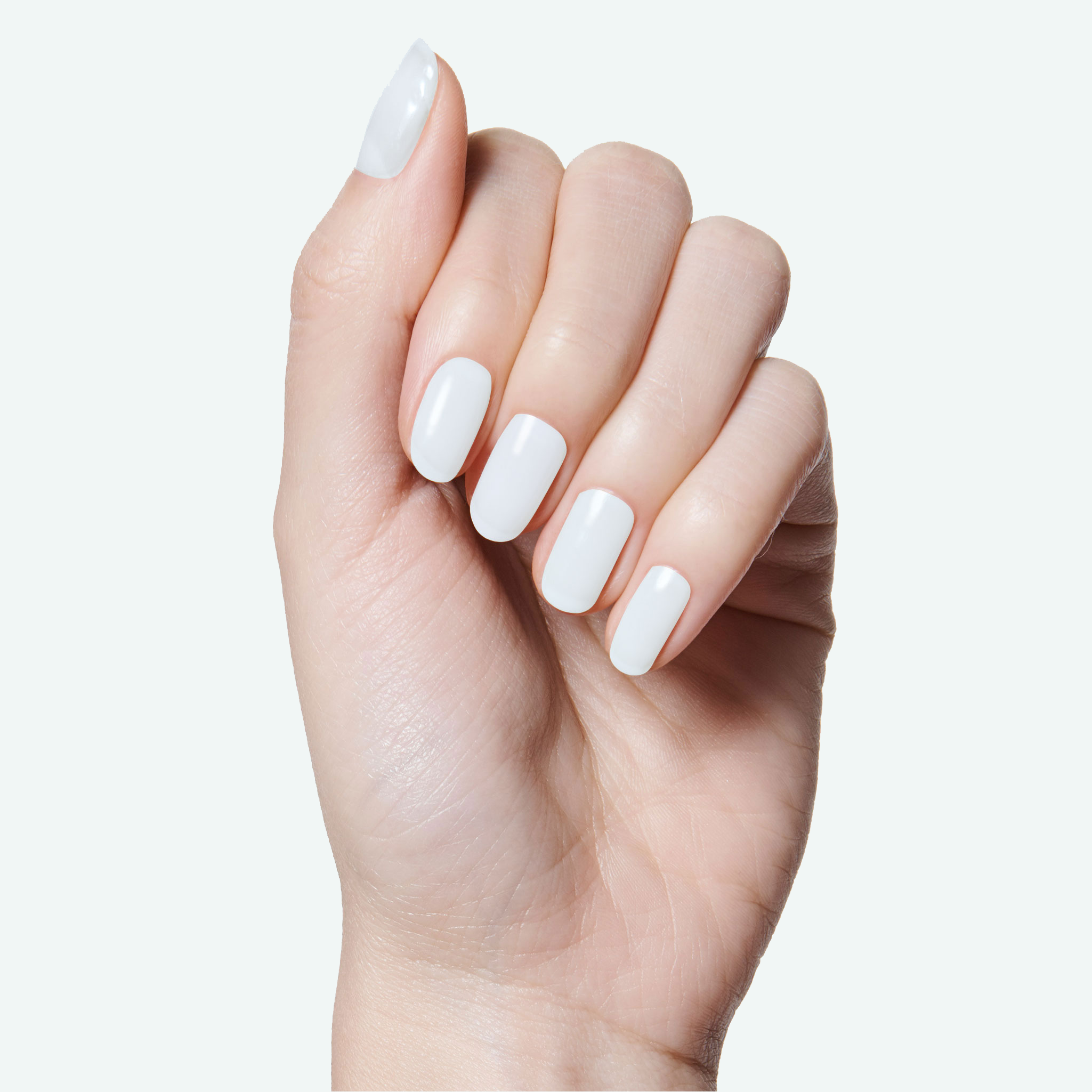 Angelfish、mySite、solidvoid