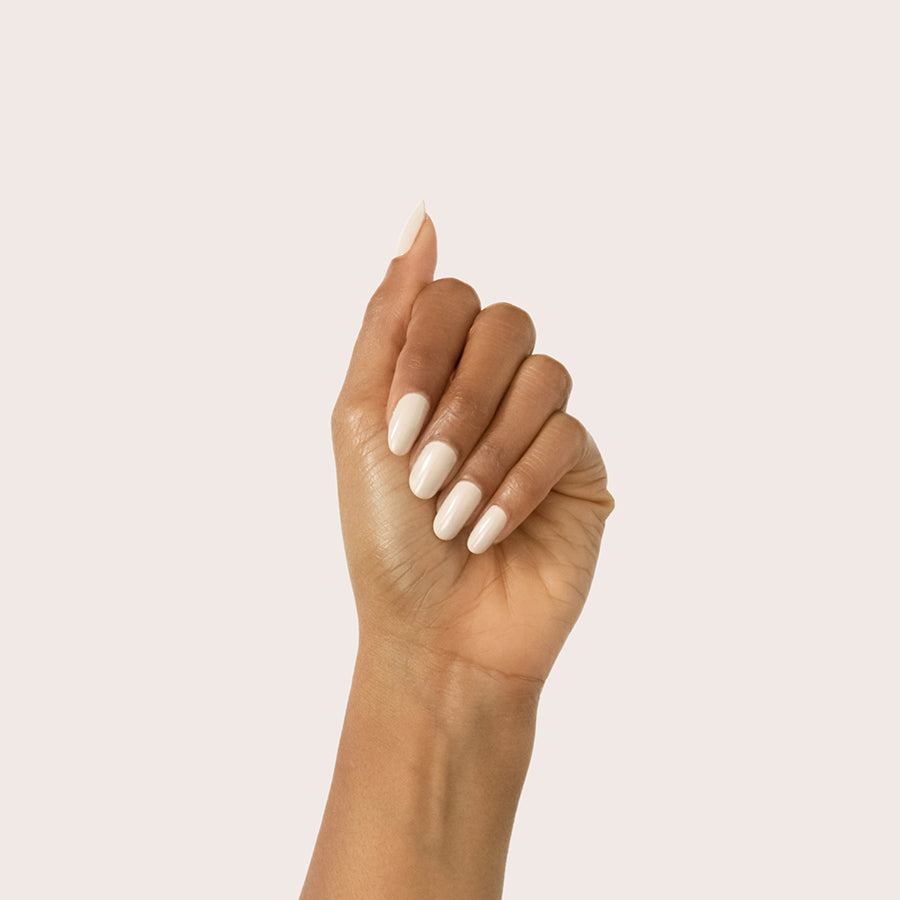 The Fall 2021 Set、mySite、solidvoid