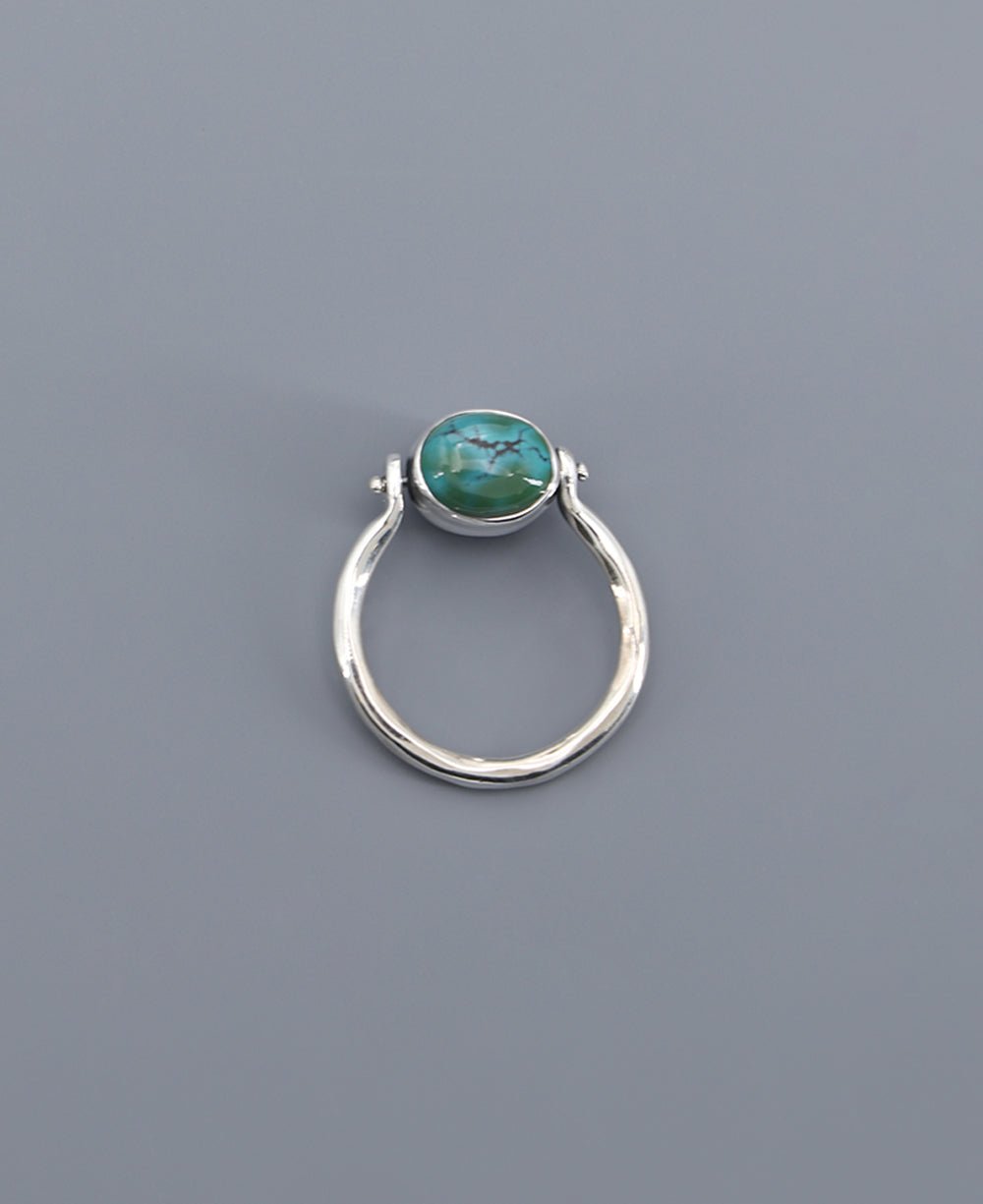 Mindful Sterling Silver Rotating Ring With Lapis and Turquoise、mySite、topwebapps