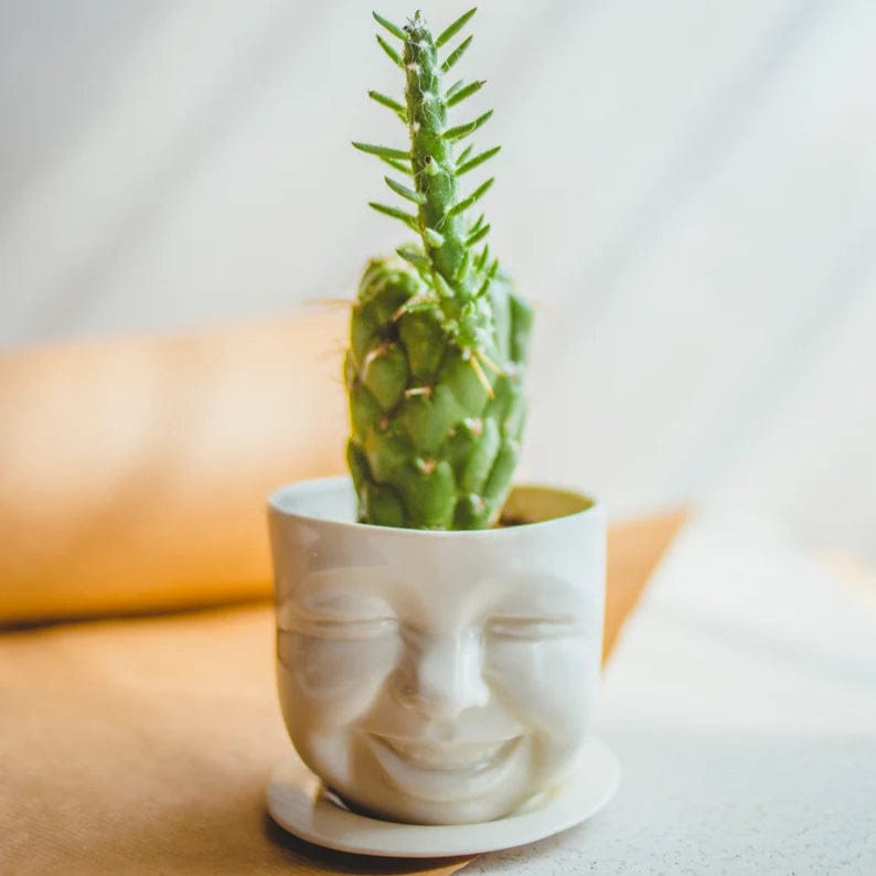 Laughing Cactus Ceramic Planter、mySite、topwebapps