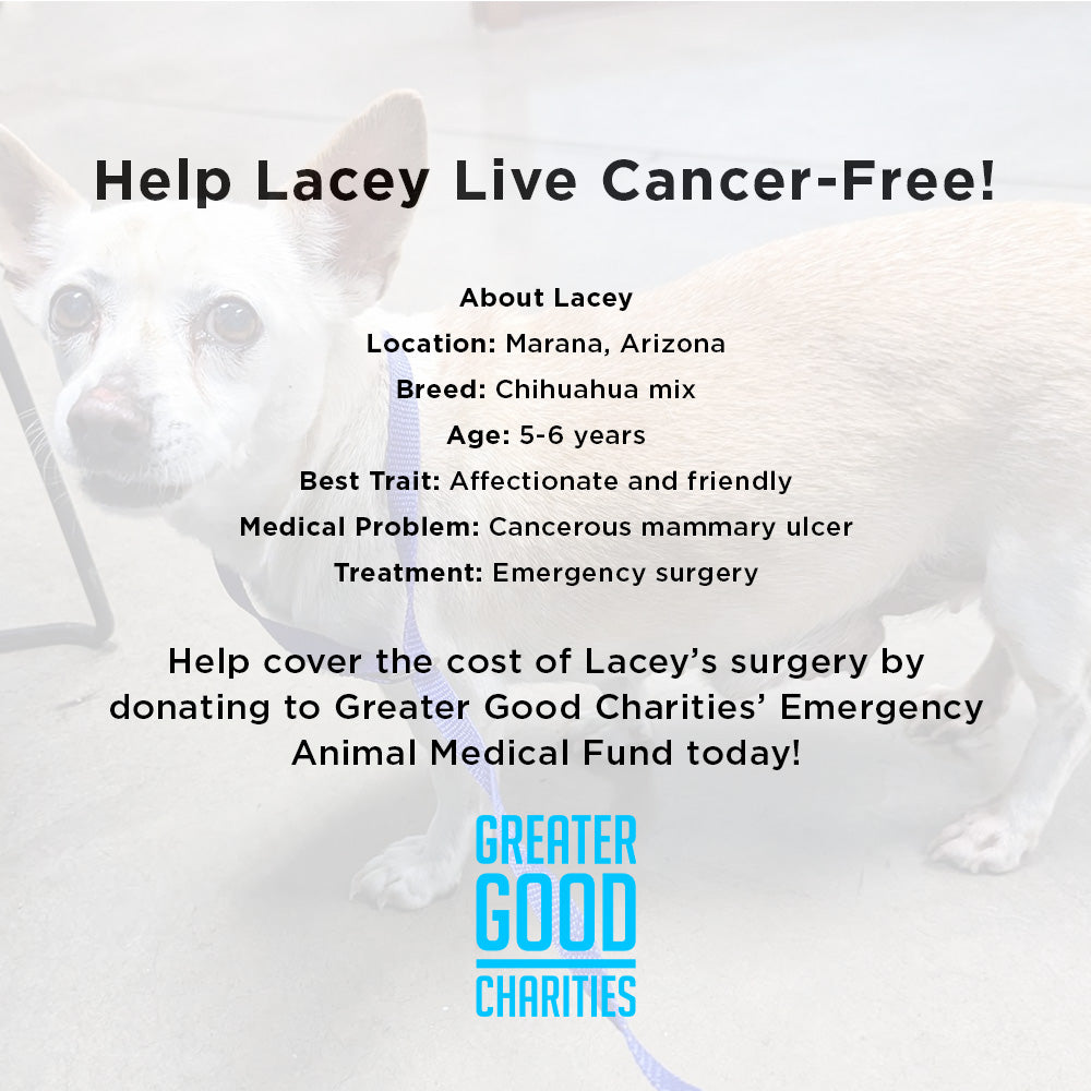 Funded - Help Lacey Live Cancer-Free、mySite、camillekostekn