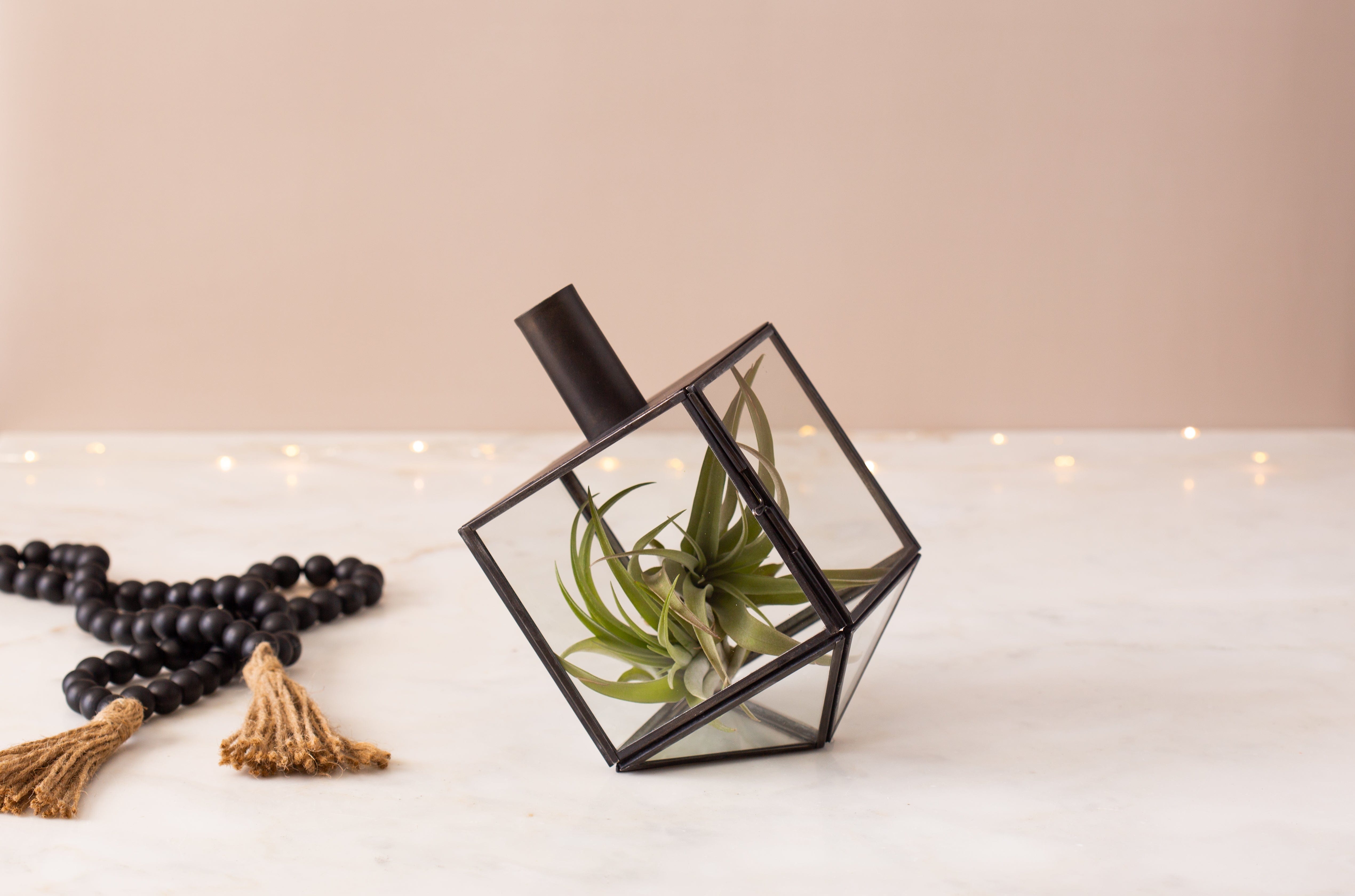 Talia Mini Dreidel Terrarium - Black、mySite、topwebapps