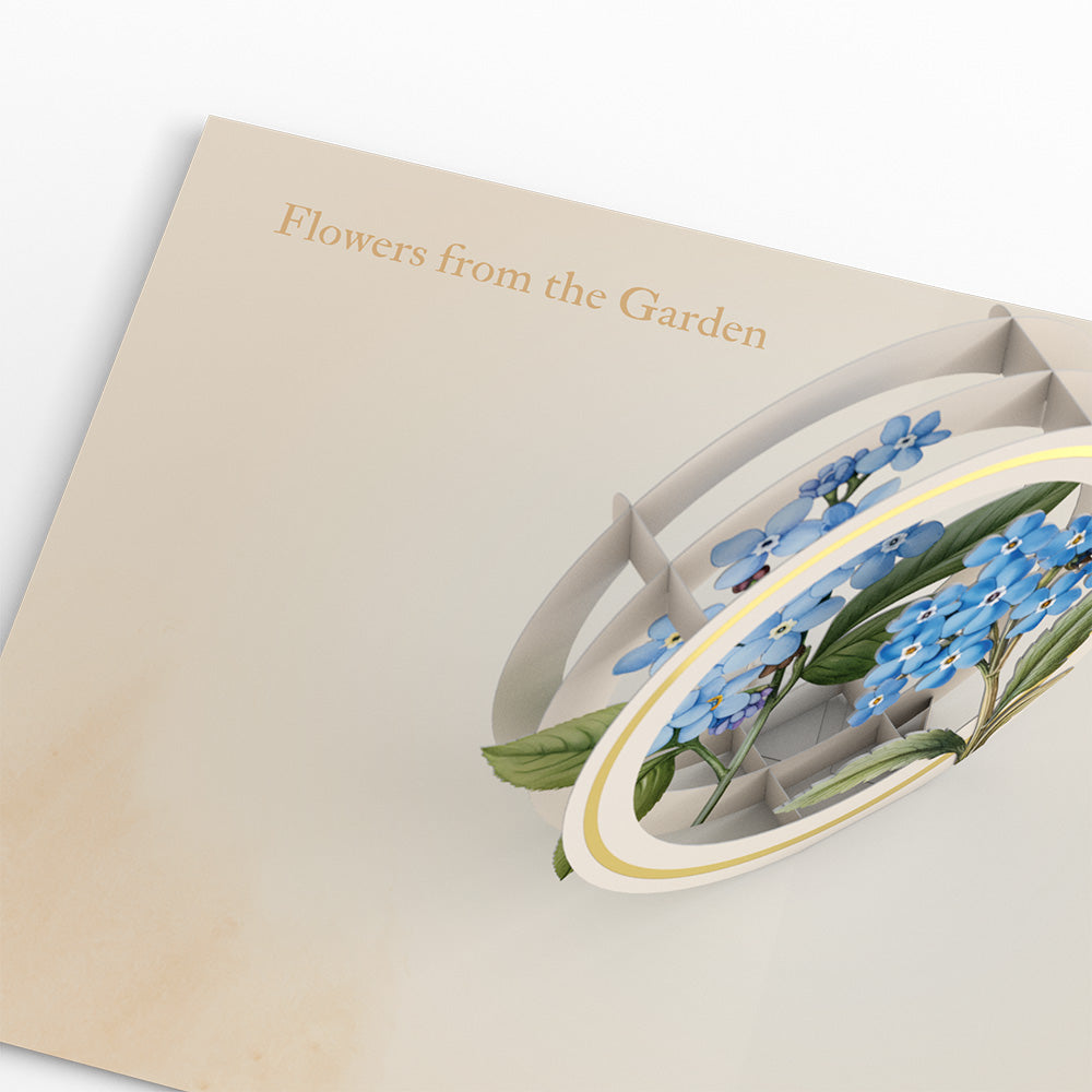 Beautiful Botanicals Box Set (Assorted 12-Pack): Paperpop® Card、mySite、solidvoid