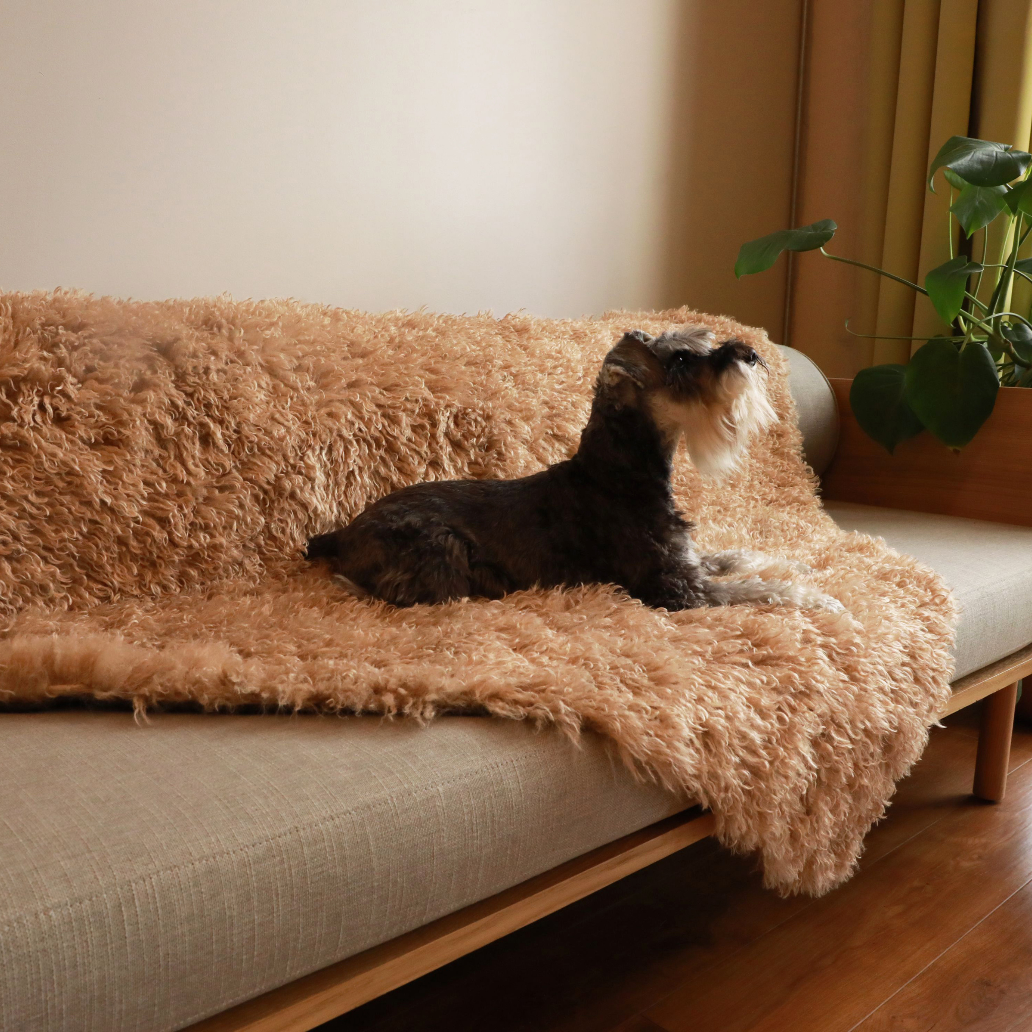 PupProtector™ Luxe Waterproof Faux Fur Blanket - Plush Sheep Tan、mySite、solidvoid