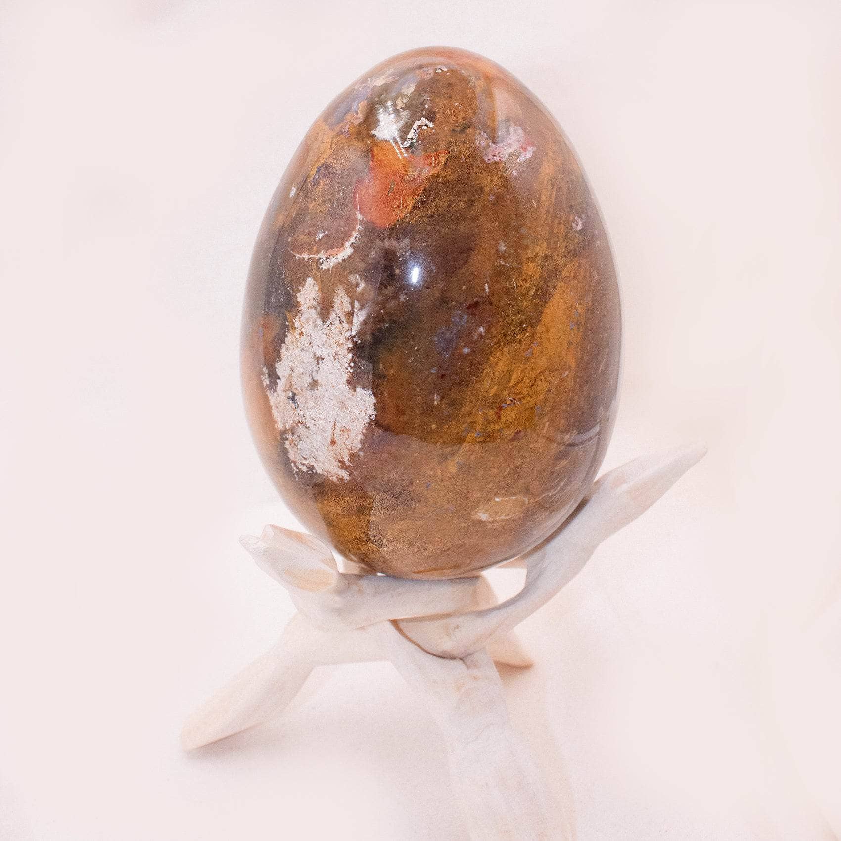 Petrified Wood Egg - AAA Premium Quality、mySite、hinf8tx79