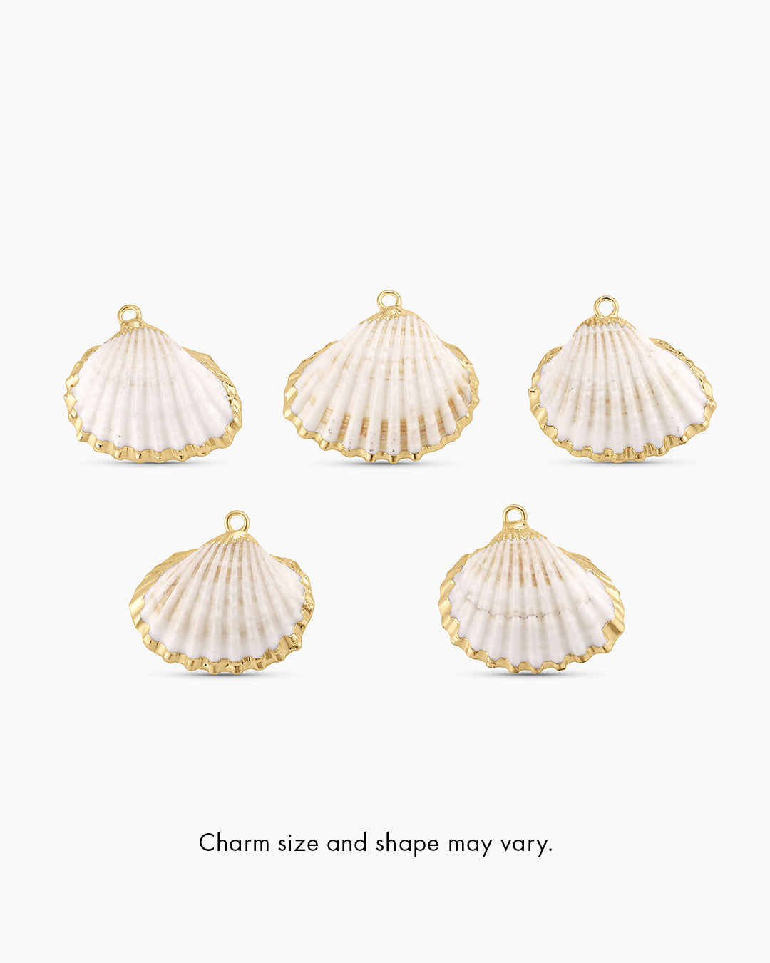 Scallop Shell Parker Charm、mySite、hinf8tx79