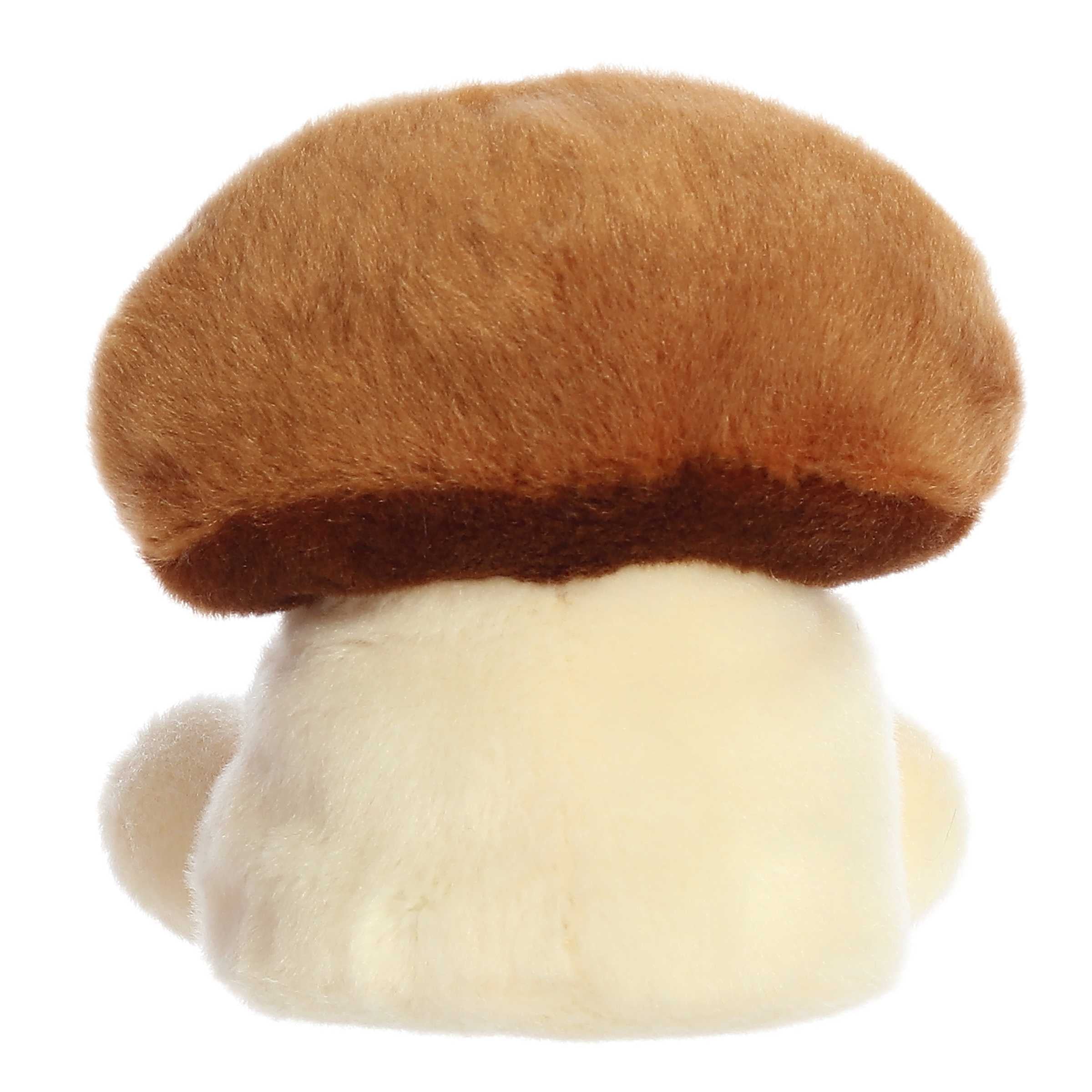 Aurora® - Palm Pals™ - 5 Umami Shiitake Mushroom™、mySite、g9winljtr