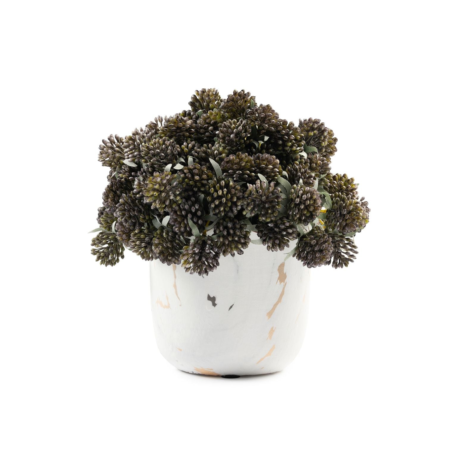  DH Marble Berry Floral、mySite、elrpsem3k