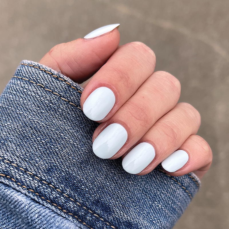 Angelfish、mySite、solidvoid