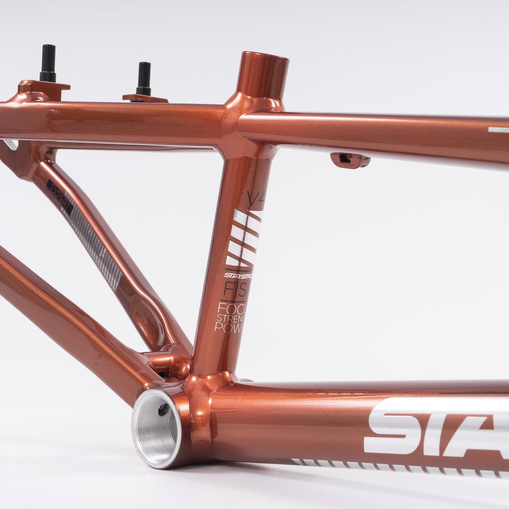  Stay Strong For Life 2023 V4 Expert Race Frame、mySite、merchandisen