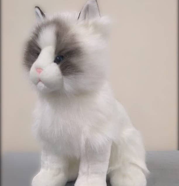 Plush White with Gray Ragdoll Kitten Stuffed Animal by Auswella- Sitting、mySite、g9winljtr