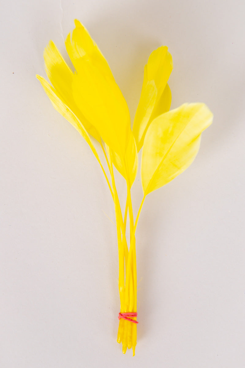 Stripped Coque Feathers Bundle of 8- Red Rubber Band、mySite、hinf8tx79