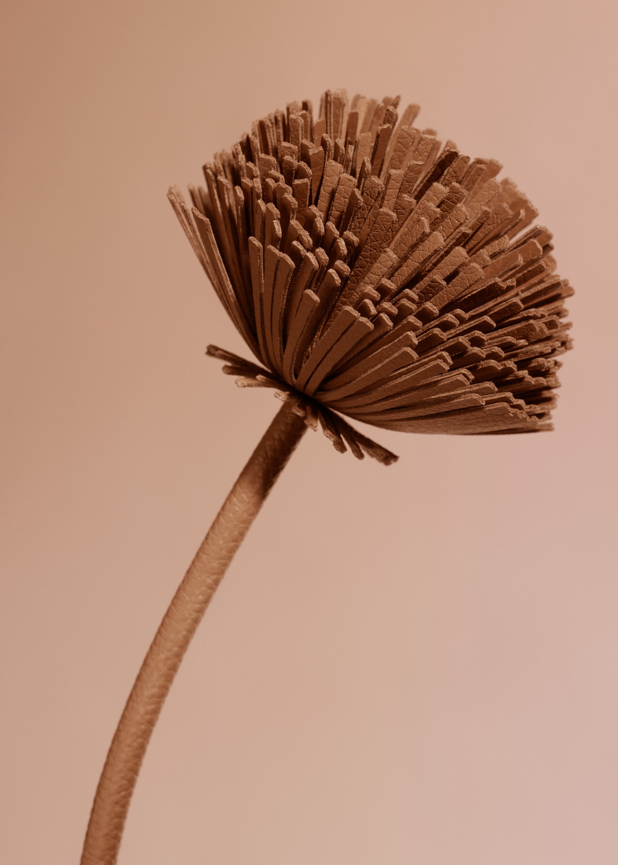 Fleur Tul - Duo Tan Grain茅、mySite、camillekostekn