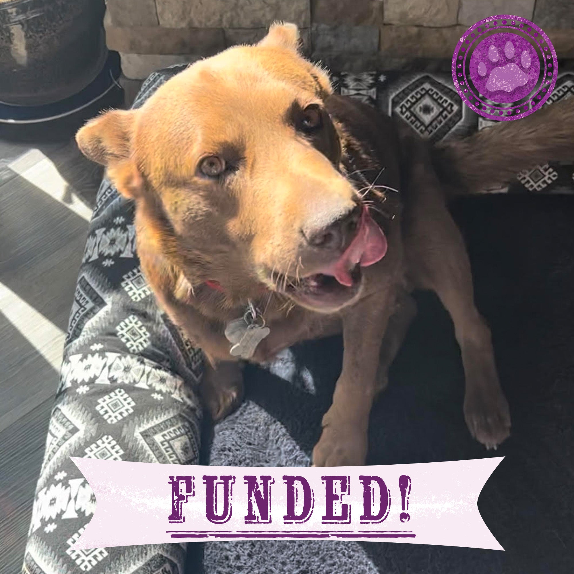 Funded: Help Susan Walk With Ease、mySite、camillekostekn