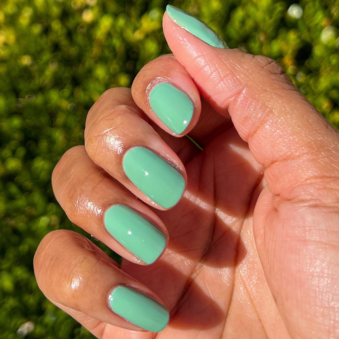 Cucumber Sandwich、mySite、solidvoid