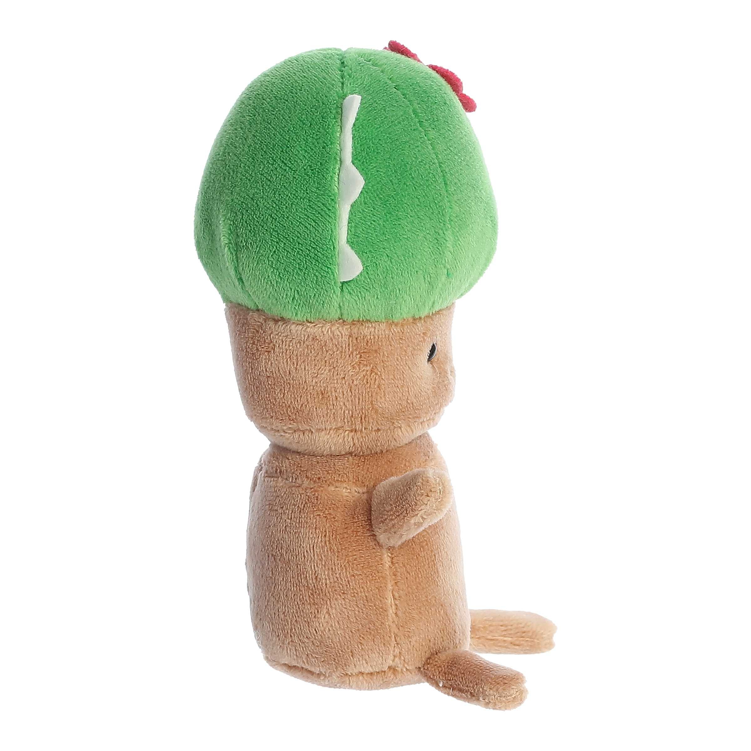 Aurora® - Spring - Land Of Lils™ - 5 Cactus、mySite、g9winljtr