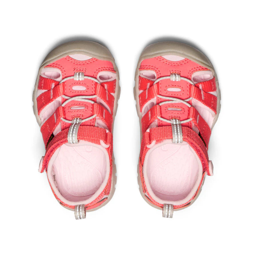  Keen Toddler's (Sizes 4-7) Seacamp II CNX Washable Outdoor Sandal - Dubarry/Pink-A-Boo、mySite、preschool7hills