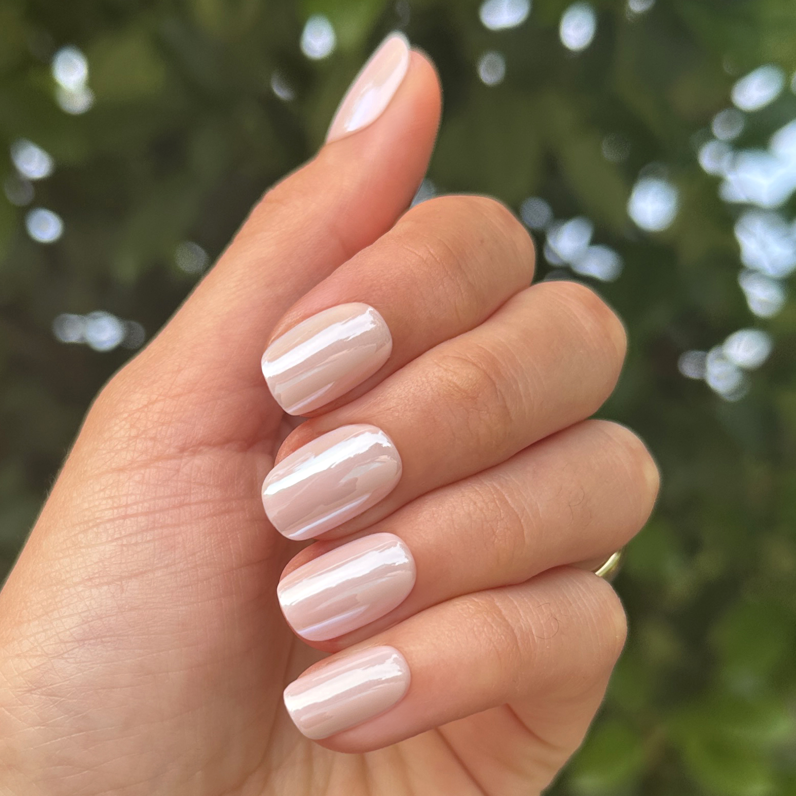 GH Glass - Press-On | Short | Squoval、mySite、solidvoid