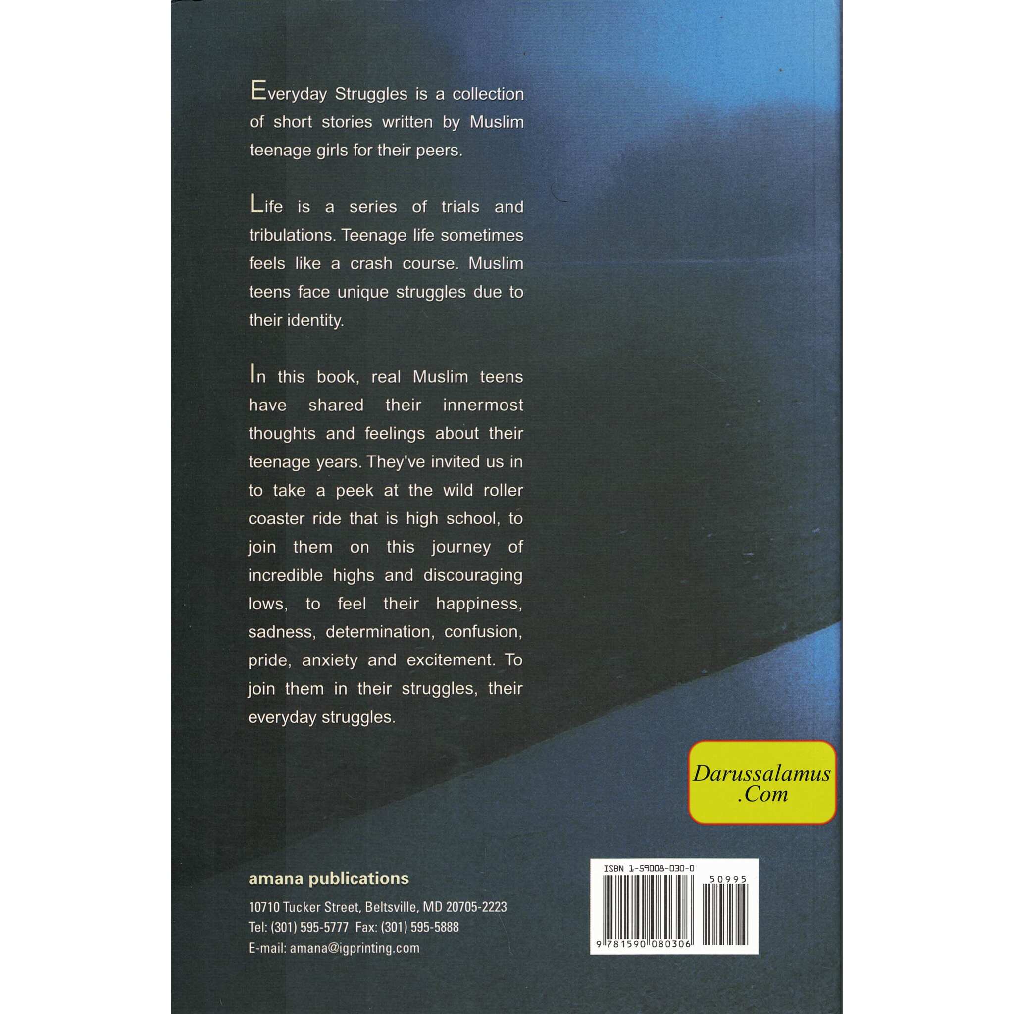 Everyday Struggles: The Stories of Muslim Teens By Sumaiya Beshir、mySite、topwebapps