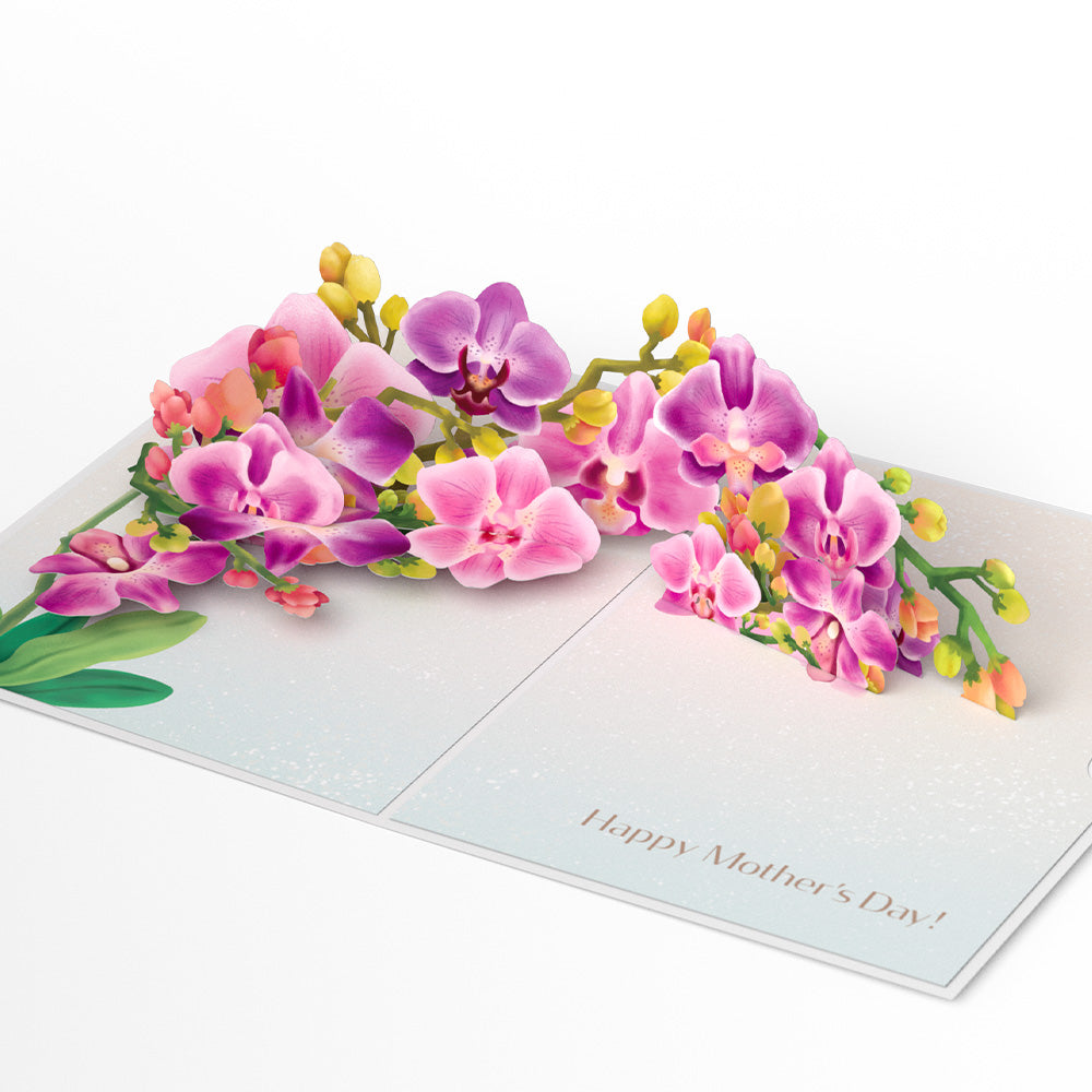 Mother’s Day Orchid Pop-Up Card、mySite、solidvoid
