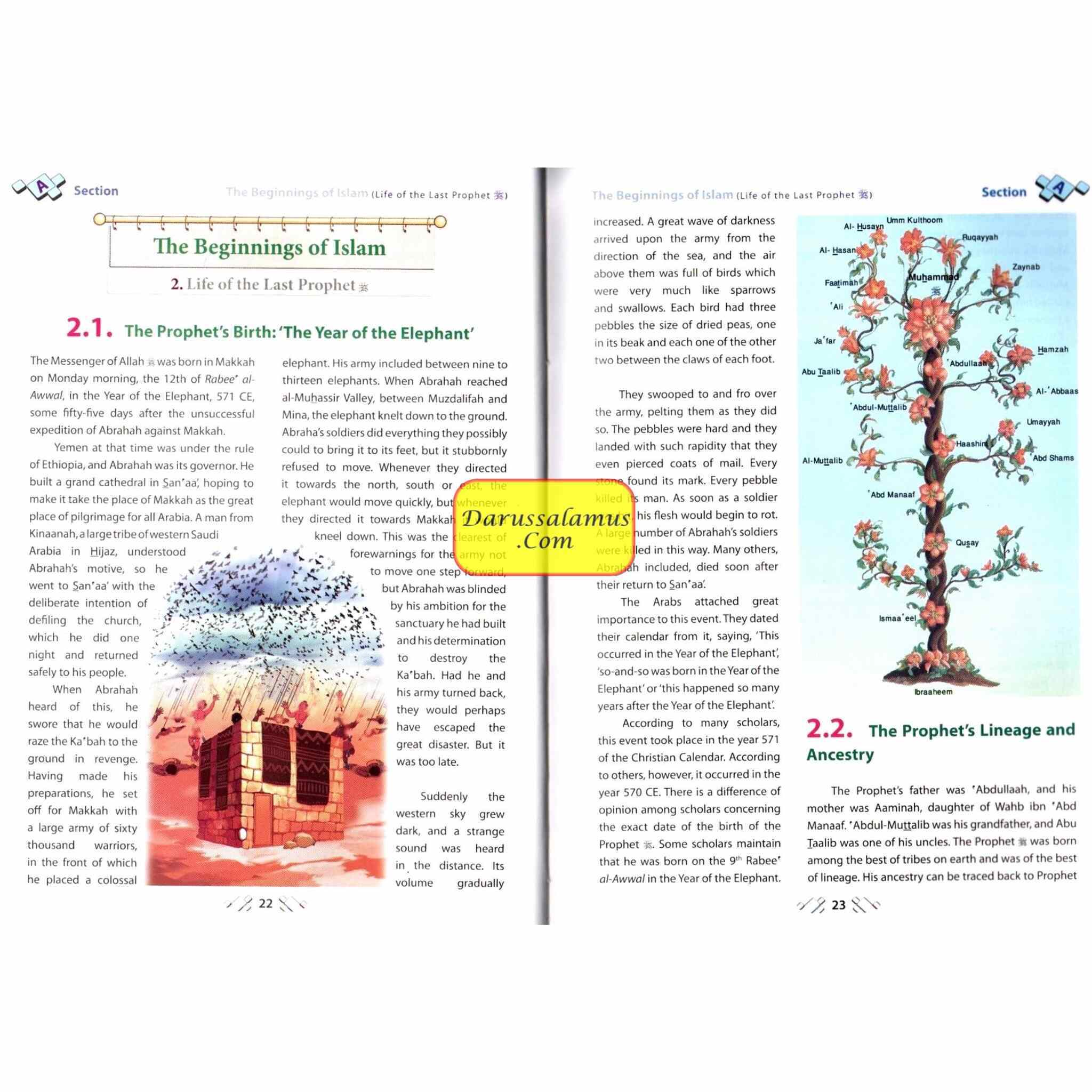 Islamic Studies Grade 12 By Maulvi Abdul Aziz Darussalam Publications、mySite、topwebapps