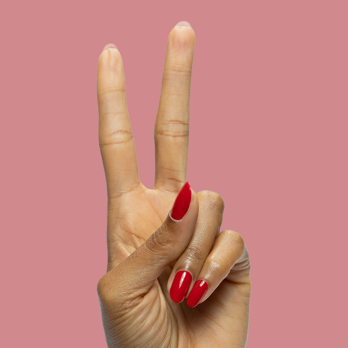 Secret Recipe、mySite、solidvoid