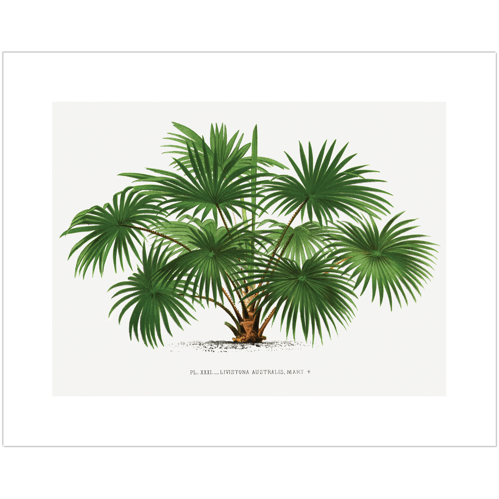 Vintage Palm Tree Landscape Art Print、mySite、gigharbornorthrealestate