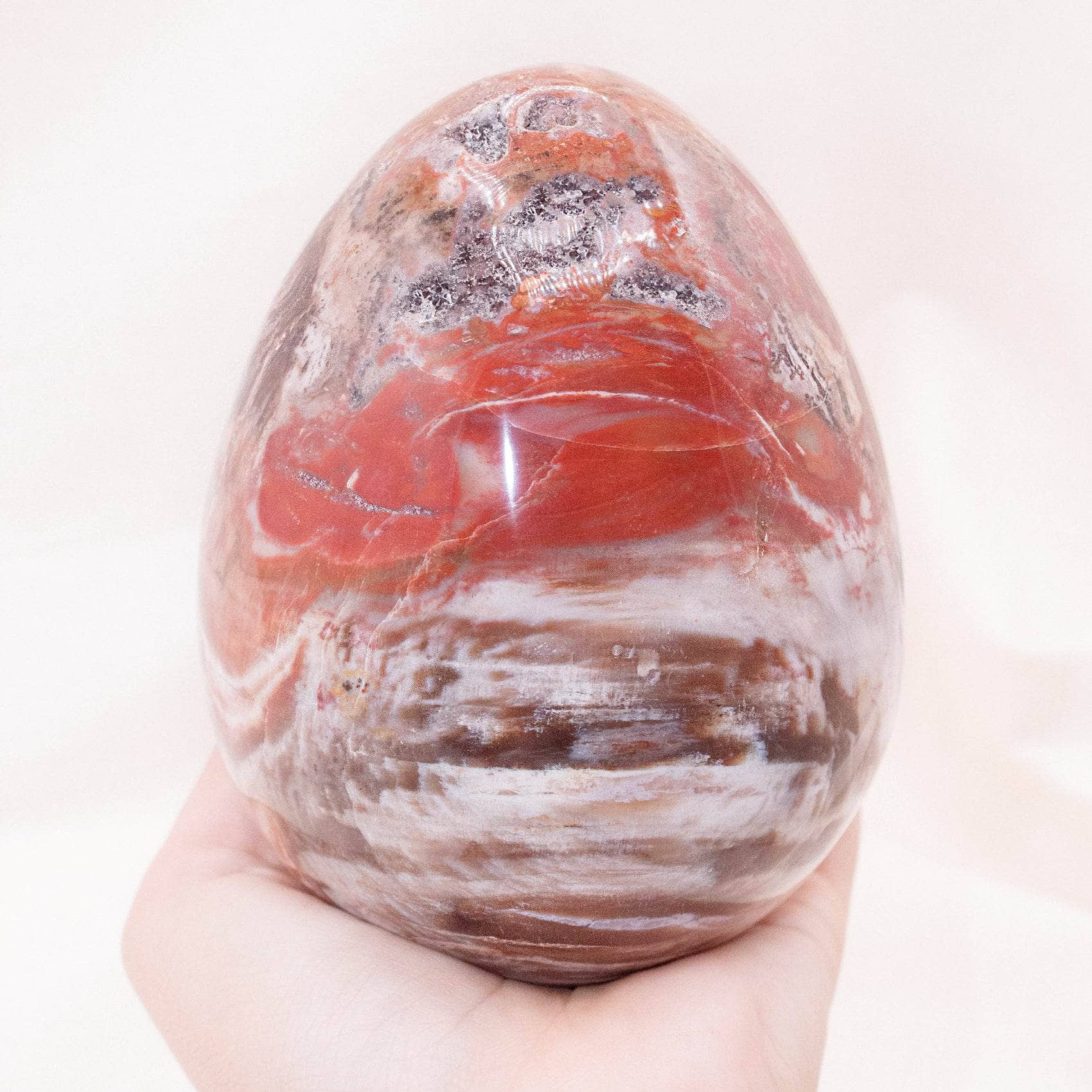 Petrified Wood Egg - AAA Premium Quality、mySite、hinf8tx79