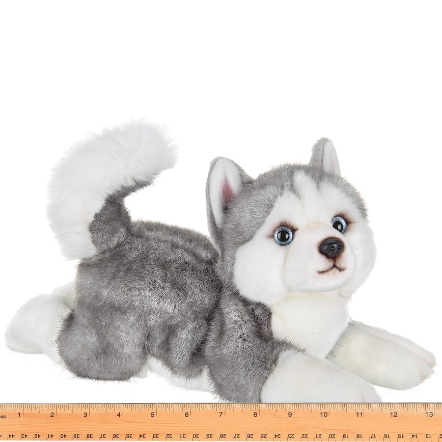 Plush Husky Puppy Dog Floppy Life-like Toy、mySite、g9winljtr