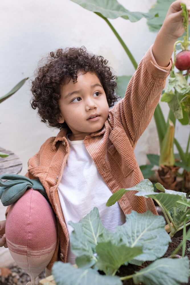 KNITTED CUSHION RAMONA THE RADISH、mySite、gigharbornorthrealestate