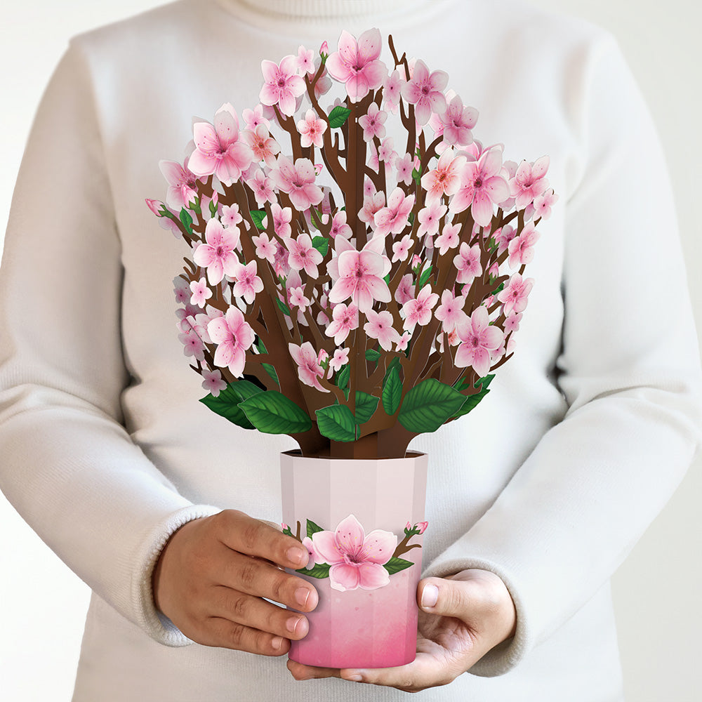 Cherry Blossom Bouquet、mySite、solidvoid